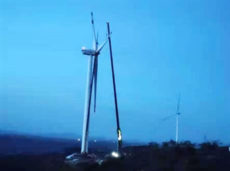 洛陽(yáng)吊車(chē)-工程案例